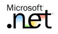 .NET Programmer